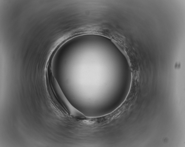 X0000097650148200802291458