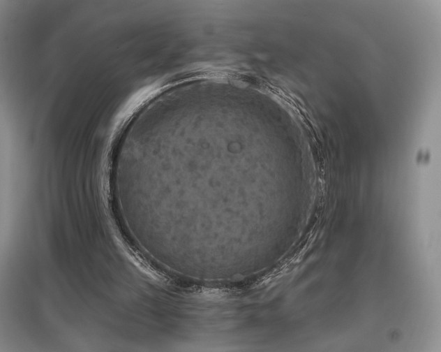 X0000097650149200802291458