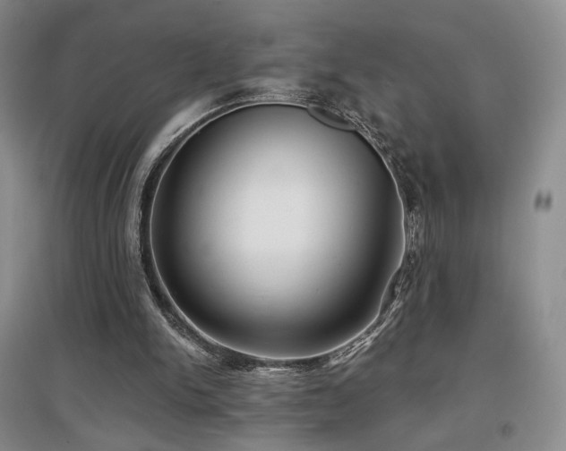 X0000097650150200802291458