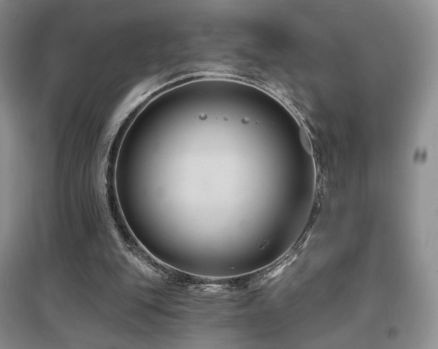 X0000097650151200802291458