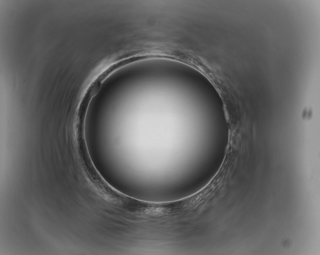 X0000097650152200802291458