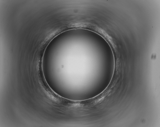 X0000097650153200802291458