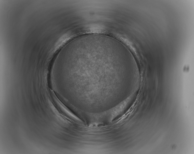 X0000097650154200802291458