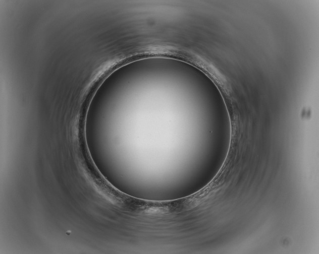 X0000097650155200802291458