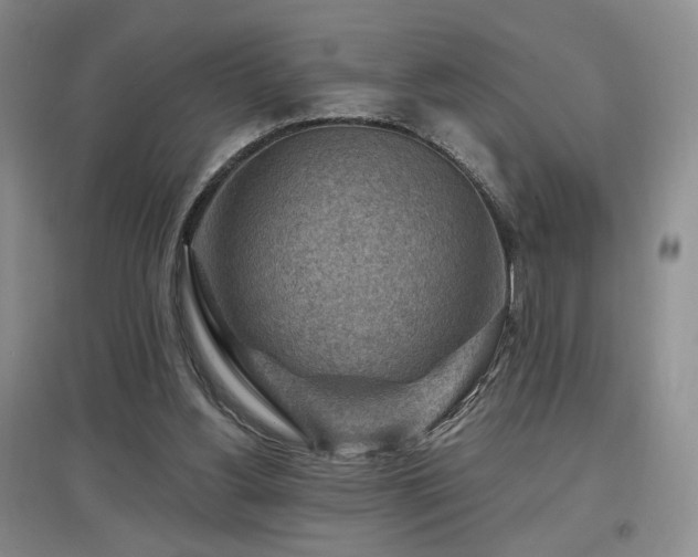 X0000097650156200802291458