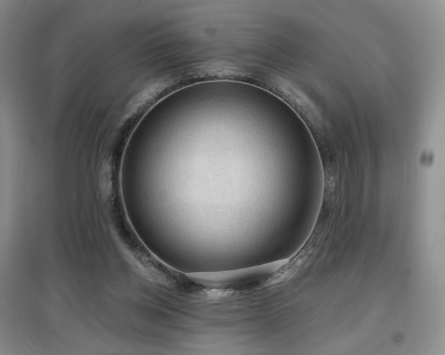 X0000097650158200802291458