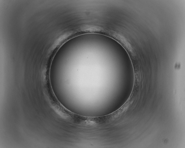 X0000097650159200802291458