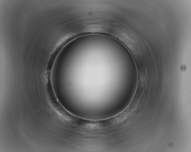 X0000097650160200802291458