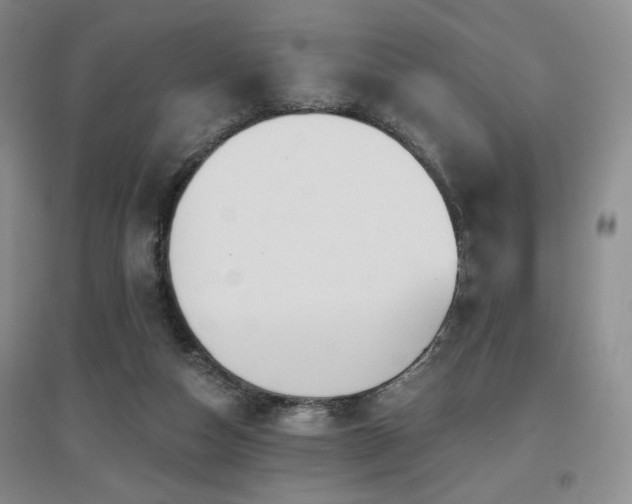 X0000097650162200802291458