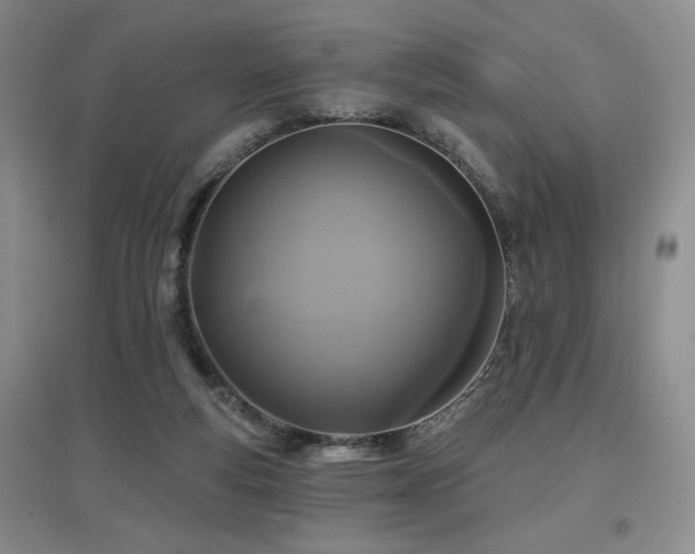 X0000097650163200802291458