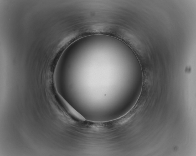 X0000097650164200802291458