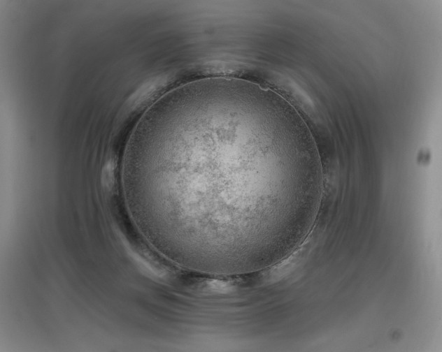 X0000097650166200802291458