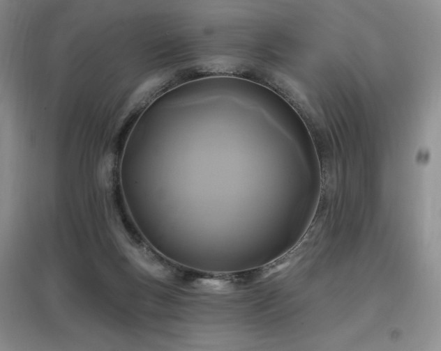 X0000097650167200802291458