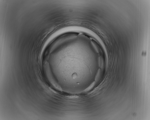 X0000097650168200802291458