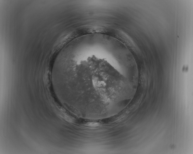 X0000097650169200802291458