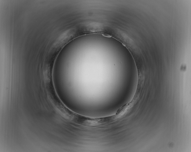 X0000097650170200802291458