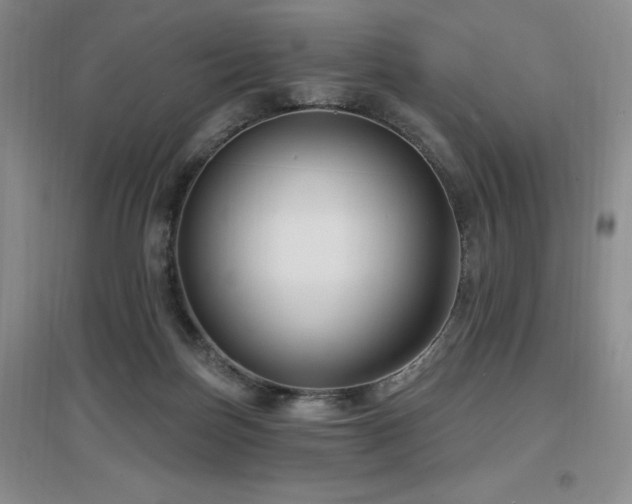 X0000097650171200802291458