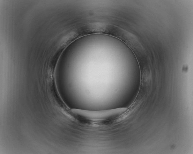 X0000097650172200802291458