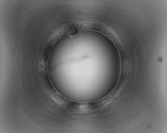 X0000097650173200802291458