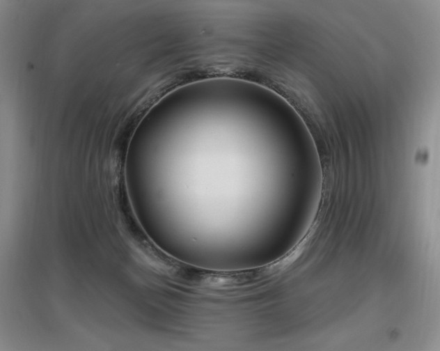 X0000097650174200802291458