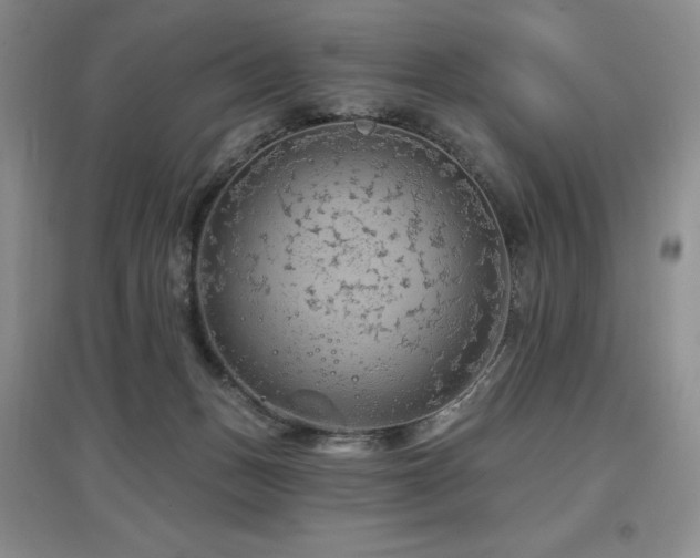 X0000097650175200802291458