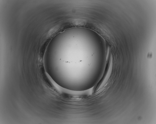 X0000097650176200802291458