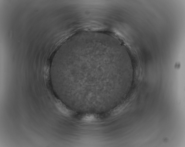 X0000097650177200802291458