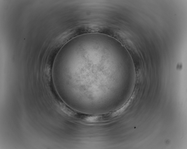 X0000097650178200802291458