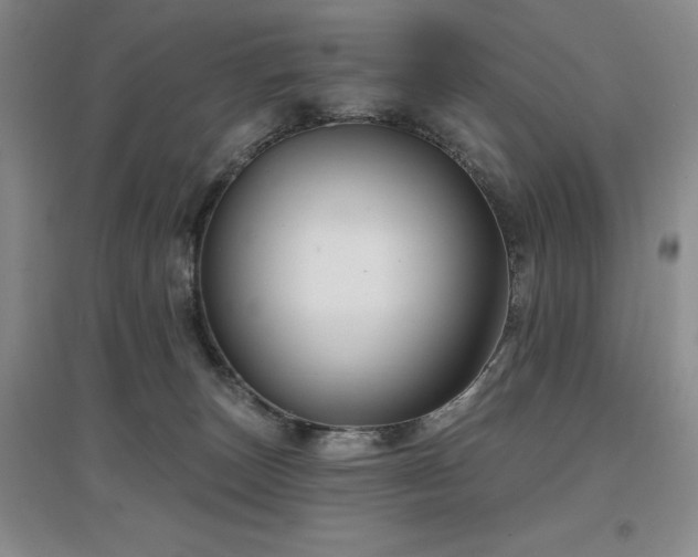 X0000097650179200802291458