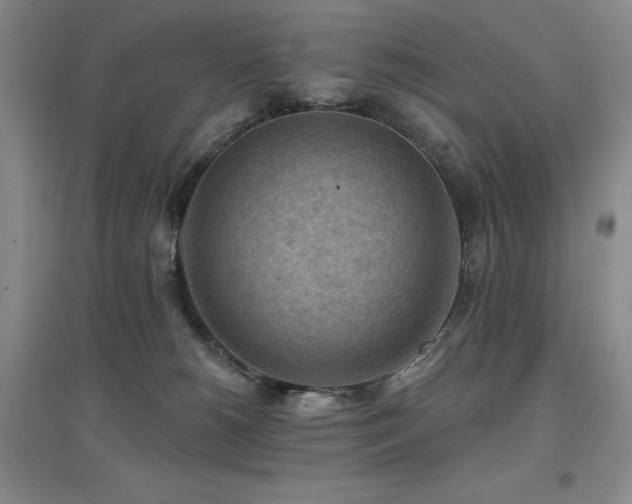 X0000097650180200802291458