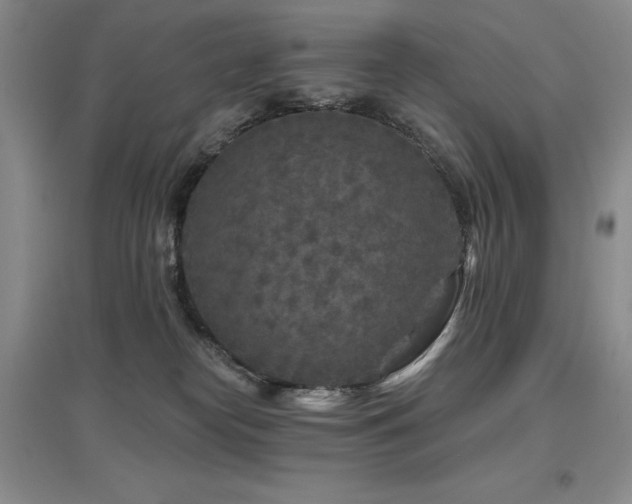 X0000097650182200802291458