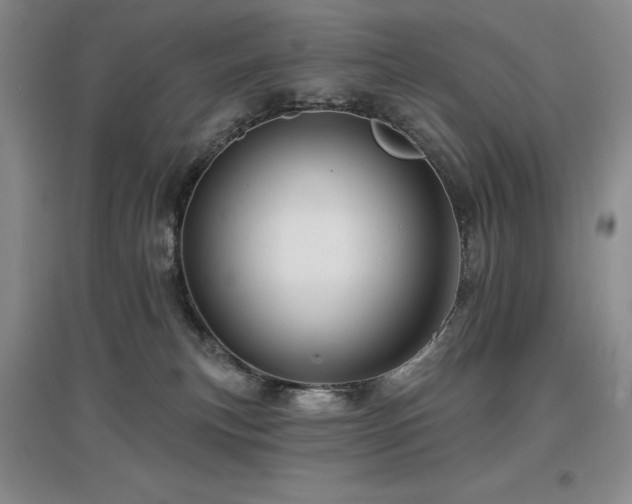 X0000097650183200802291458