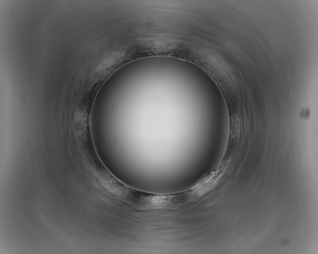 X0000097650184200802291458