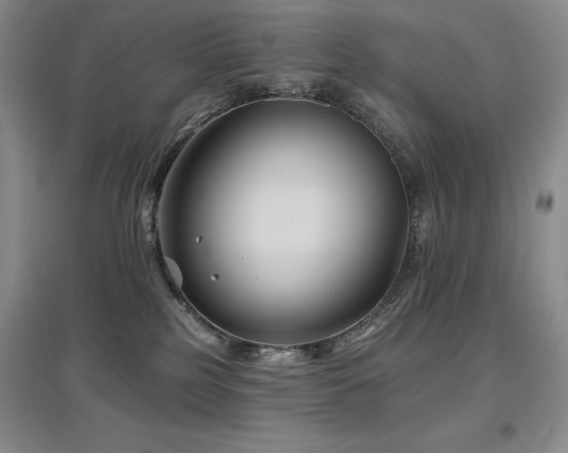 X0000097650185200802291458