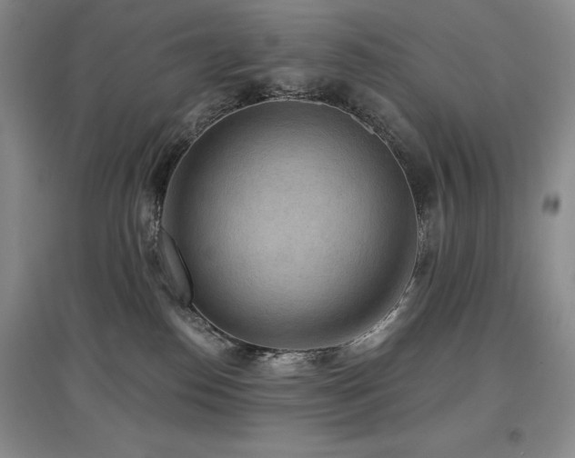 X0000097650186200802291458