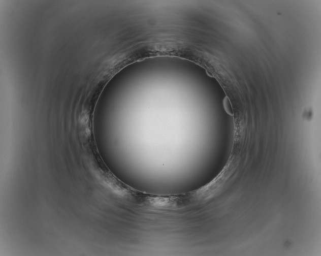 X0000097650187200802291458