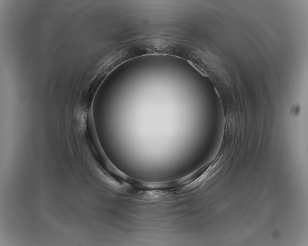 X0000097650188200802291458