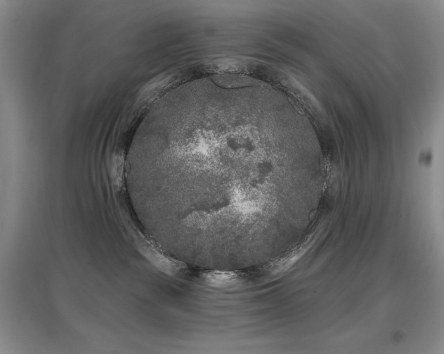 X0000097650189200802291458