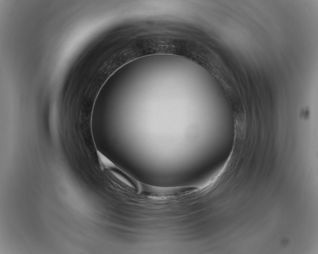 X0000097650190200802291458