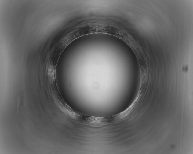 X0000097650191200802291458