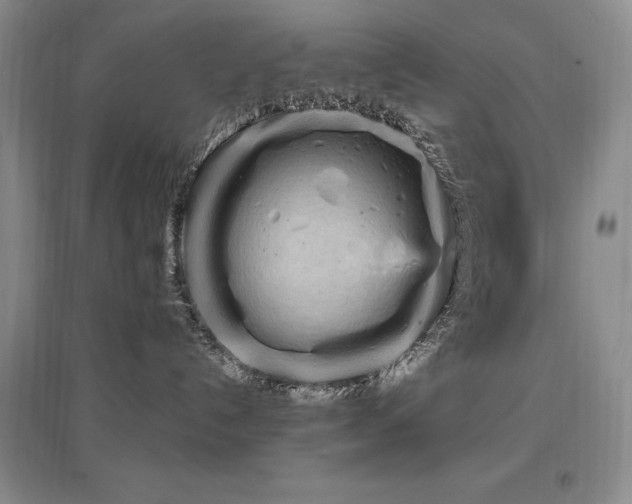 X0000097650192200802291458