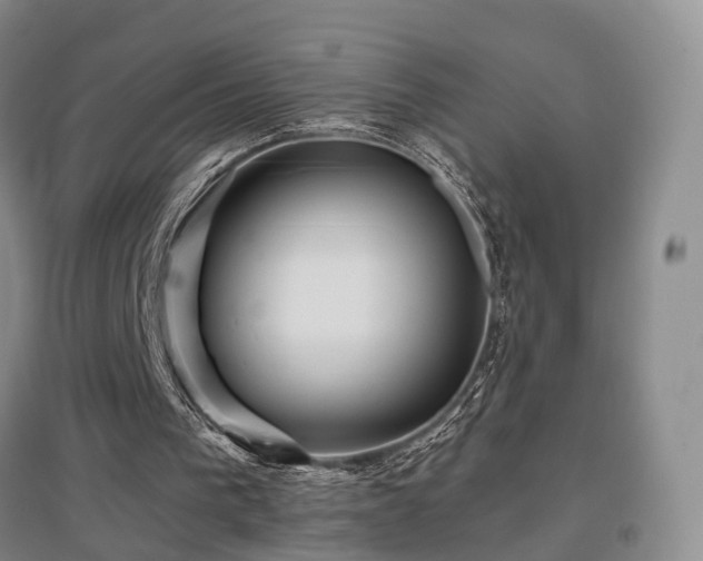 X0000097650193200802291458