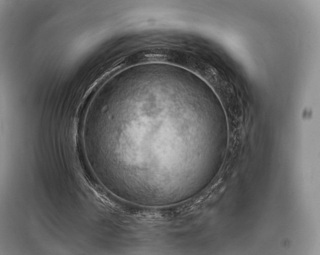 X0000097650194200802291458