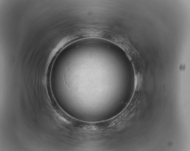 X0000097650195200802291458