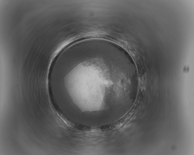 X0000097650196200802291458