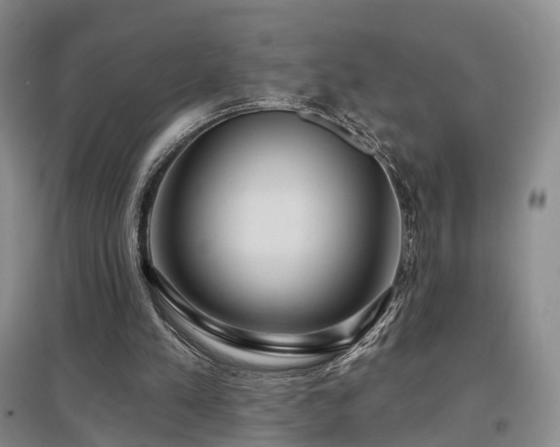 X0000097650197200802291458