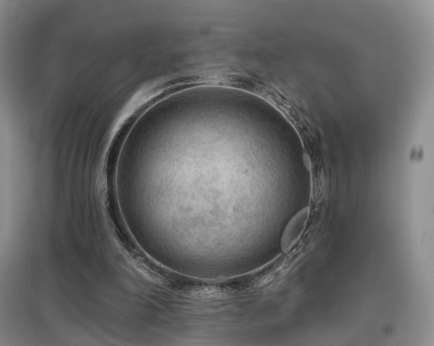 X0000097650198200802291458