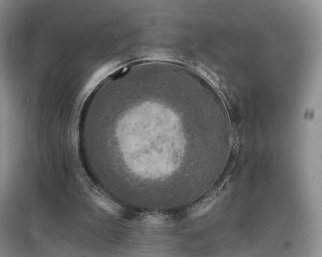 X0000097650199200802291458