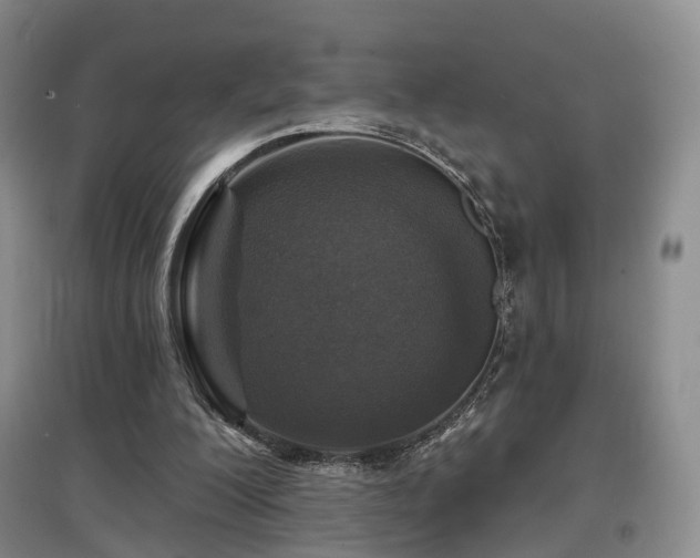 X0000097650200200802291457