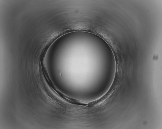 X0000097650201200802291457